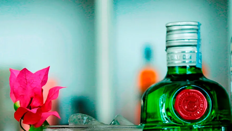 Gin
