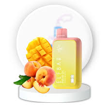 13000 PEACH MANGO ICE, 84957